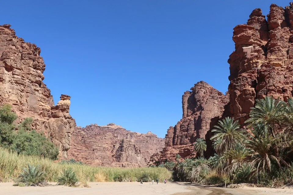 جبال وادي الديسة ونخيله في منطقة تبوك